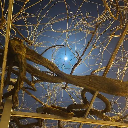 Szálloda Il Glicine 2*