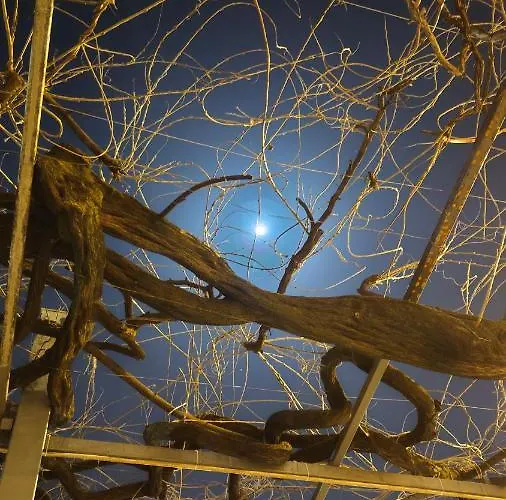 فندق Il Glicine 2*